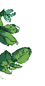 Middle Leaf